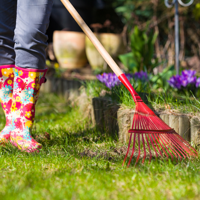 Spring Lawn Care The GoTo Checklist To Get Your Lawn SpringReady